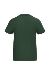 Ideal Forest Green