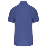 Cobalt Blue