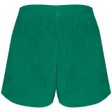 Malachite Green