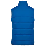 Light Royal Blue