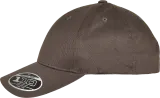 Gorra Flexfit Pro-Formance