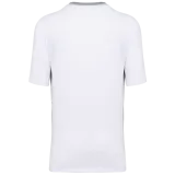 White / Fine Grey