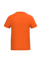 Ideal Orange