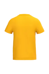 Ideal Gold
