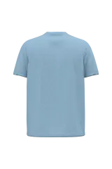 Cloudy blue heather