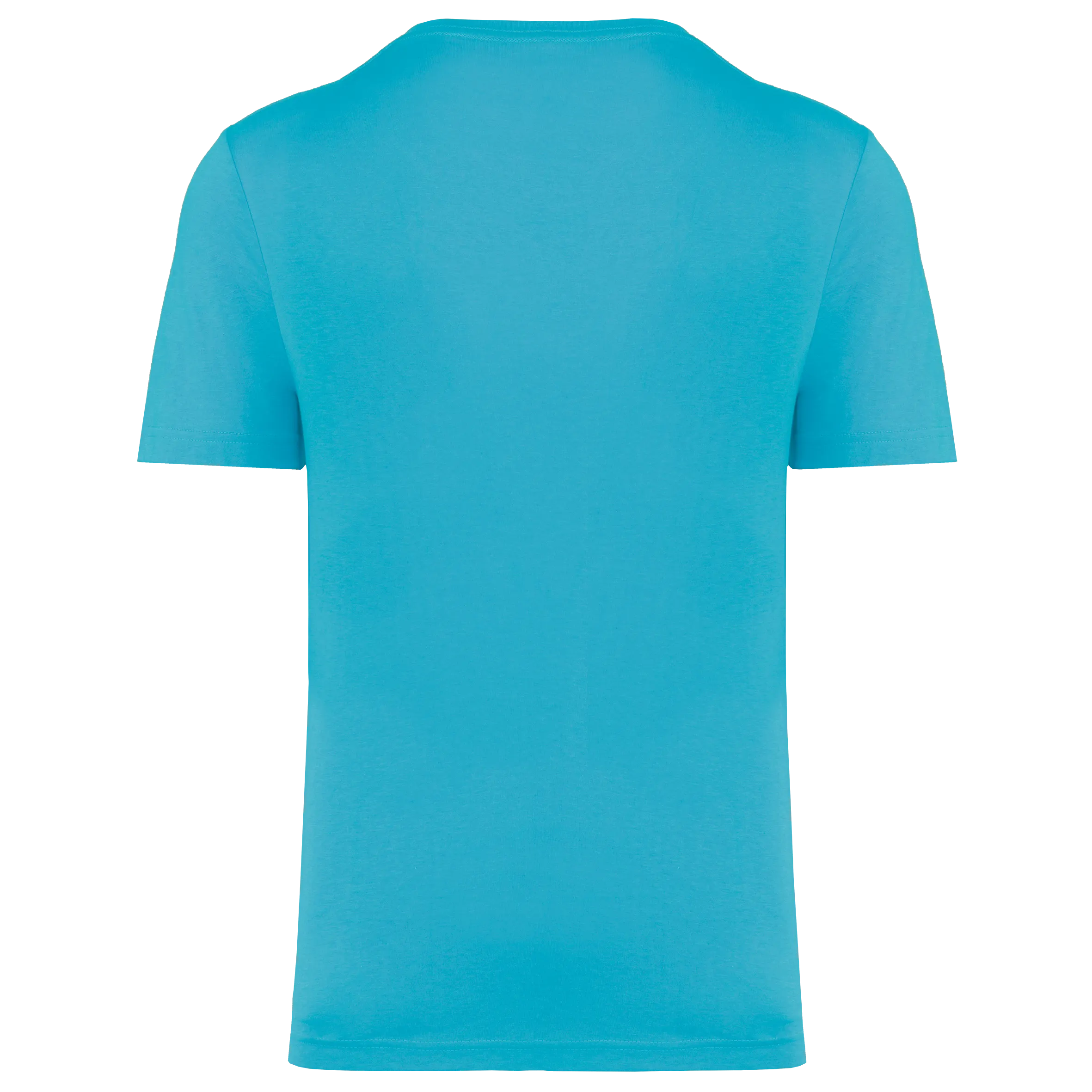 Camiseta triblend Sport