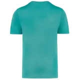 Turquoise Blue Heather