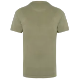 Almond Green