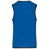 Sporty Royal Blue / Green