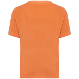 Apricot