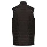 Black / Silver