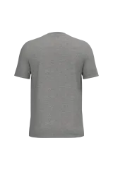 Moon Grey Heather