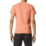 Tangerine