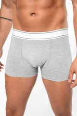 Boxer hombre