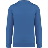 Light Royal Blue