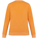 Apricot
