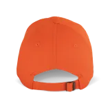 Spicy Orange