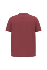 Terracotta Red