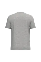 Moon Grey Heather