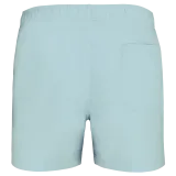Ice Mint