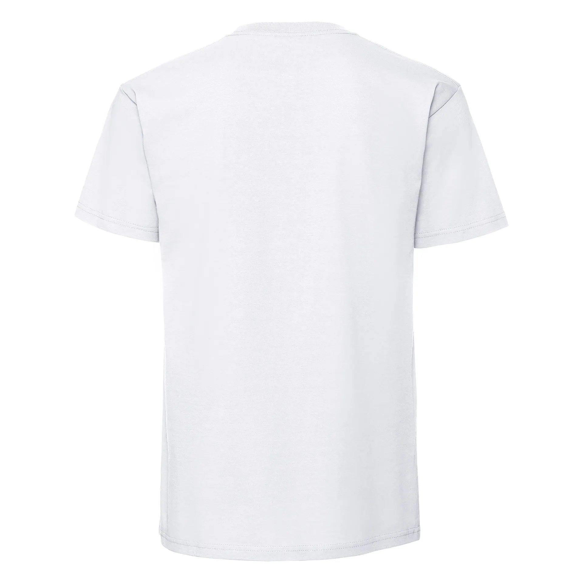 CAMISETA FRUIT OF THE LOOM ICONIC 195 PREMIUM TEES ADULTO