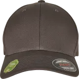 Gorra Flexfit de algodón orgánico