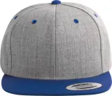 Gorra visera plana - 6 paneles