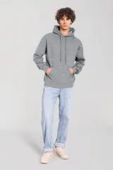 Sudadera con capucha Iconic 250