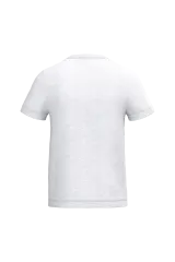 Ideal Ash Heather