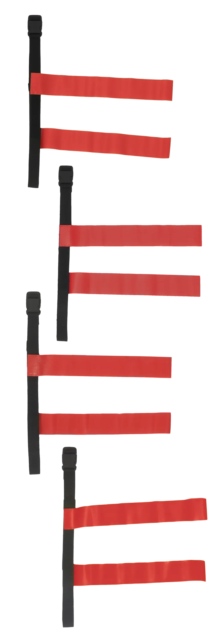 Cinturón Tag