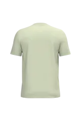 Celadon Green
