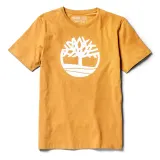 Wheat