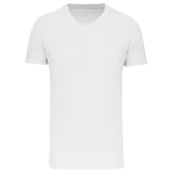Camiseta BIO150 IC cuello de pico hombre