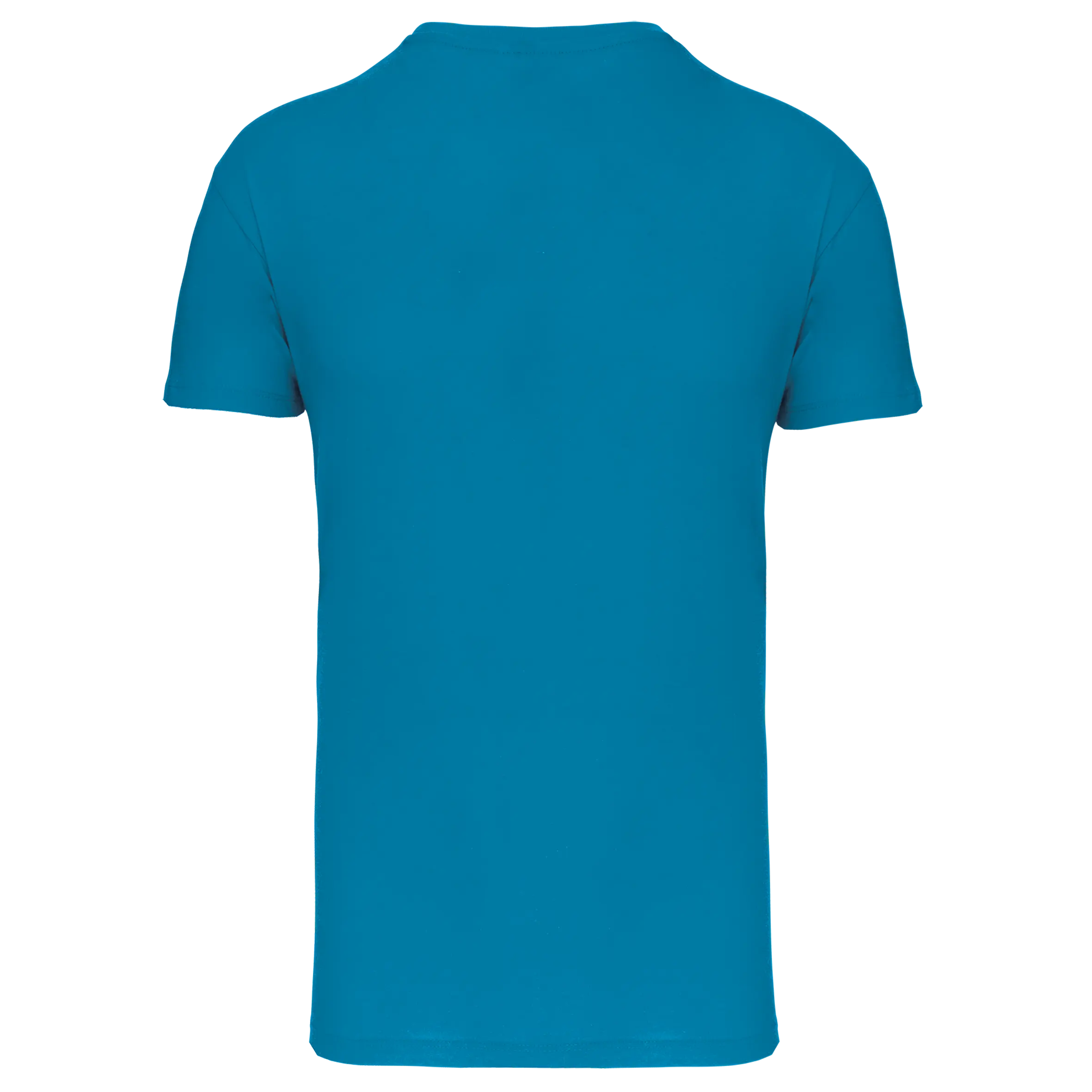 Camiseta BIO150 IC cuello de pico hombre