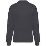 Iron Grey