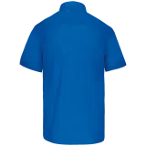 Light Royal Blue