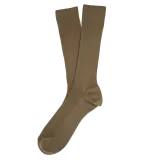 Light Olive Green
