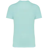 Ice Mint