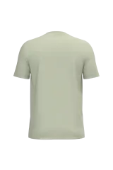Celadon Green