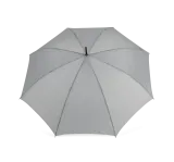 Snow Grey