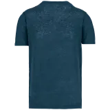 Peacock Blue
